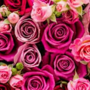 Shop my closet for some great deals.